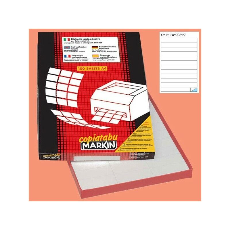 Etichetta Adesiva in Fogli C/527 Bianca 100 Fg. A4 (12 Etichette da 210x25 mm.)