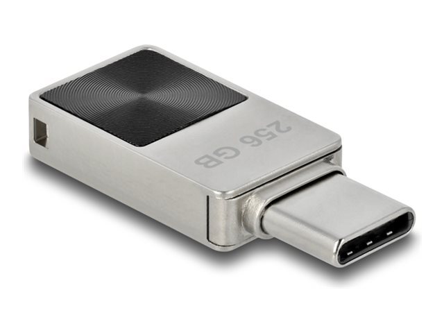 Delock USB flash drive 256 GB USB-C USB-C USB-Stick 54009