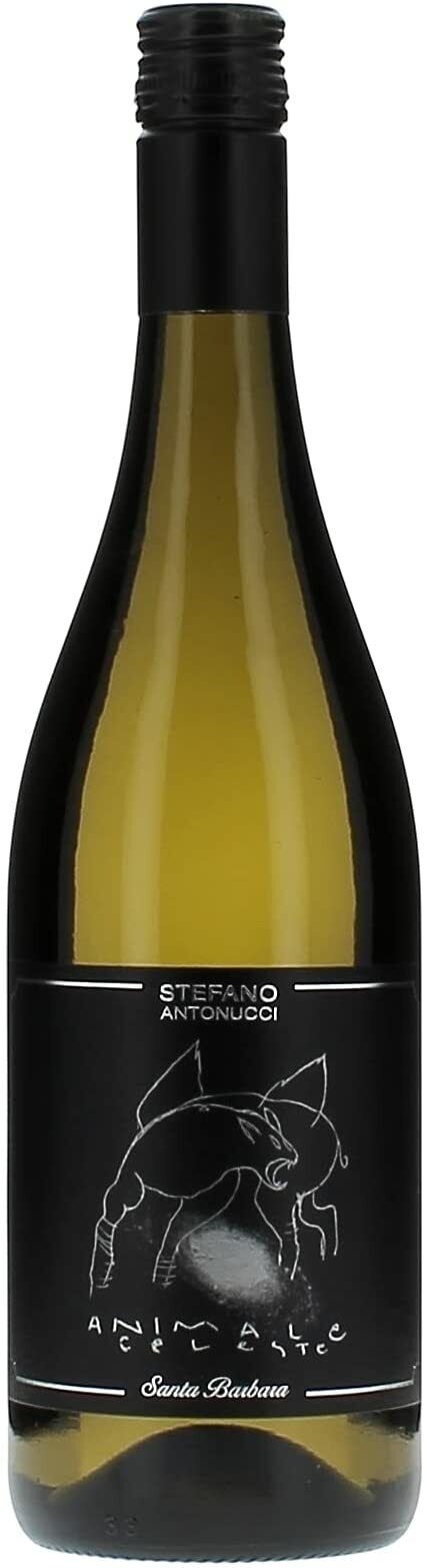 Santa Barbara Animale Celeste vino Sauvignon Blanc Marche IGT 2021 da 0,75 L