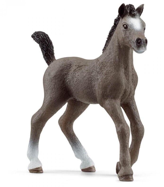 SCHLEICH - Puledro da sella francese -  - SHL13957