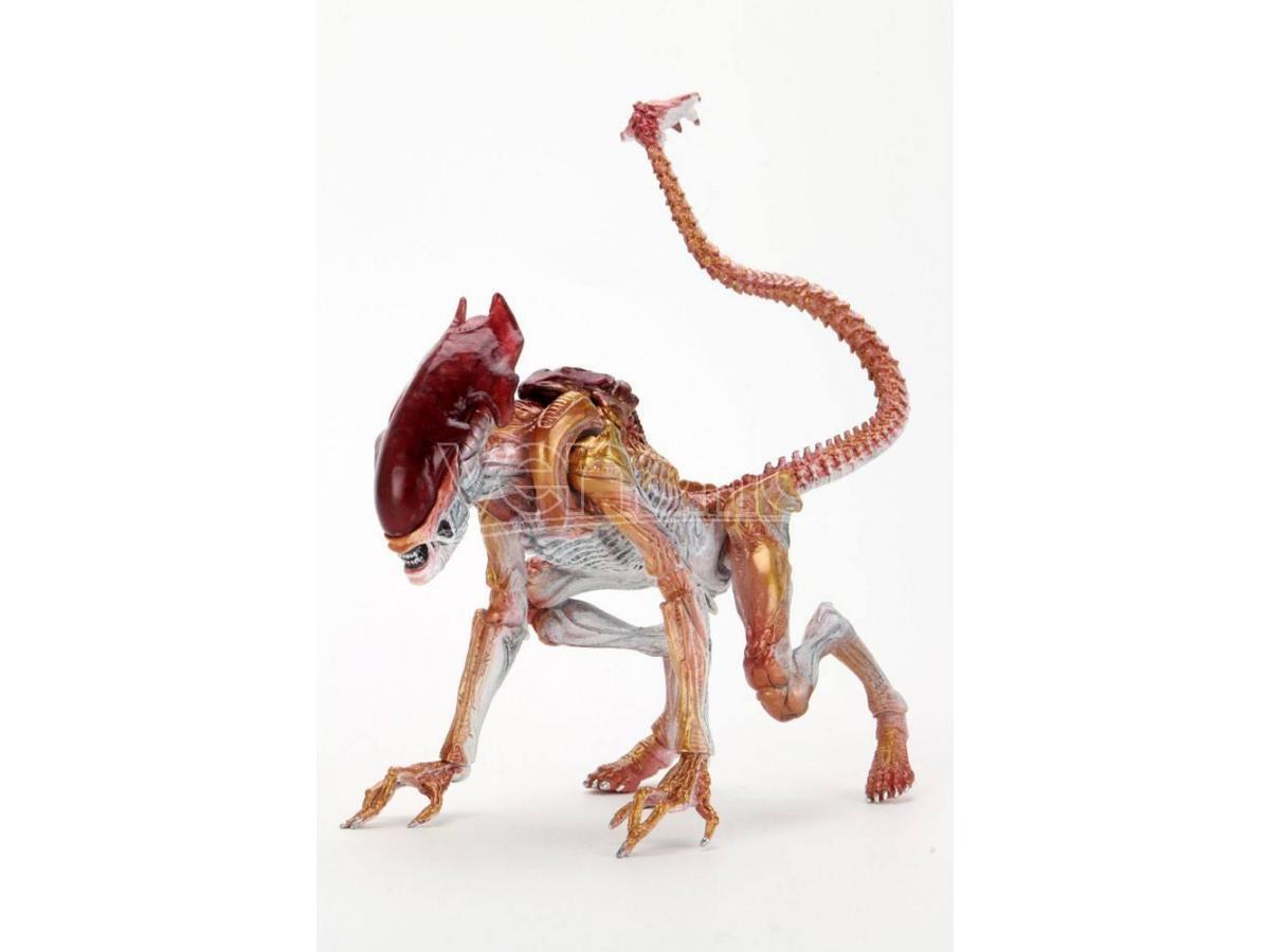 Aliens Action Figura Panther Alien (kenner Tribute) 23 Cm Neca