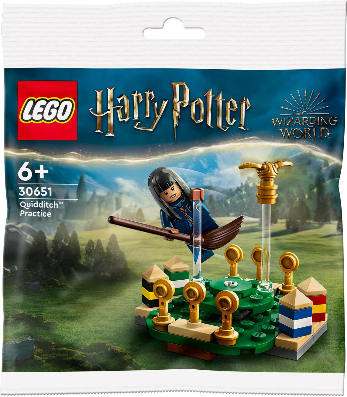 LEGO HARRY POTTER Allenamento Da Quidditch 30651