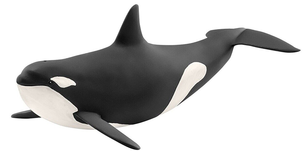 SCHLEICH - orca -  - SHL14807