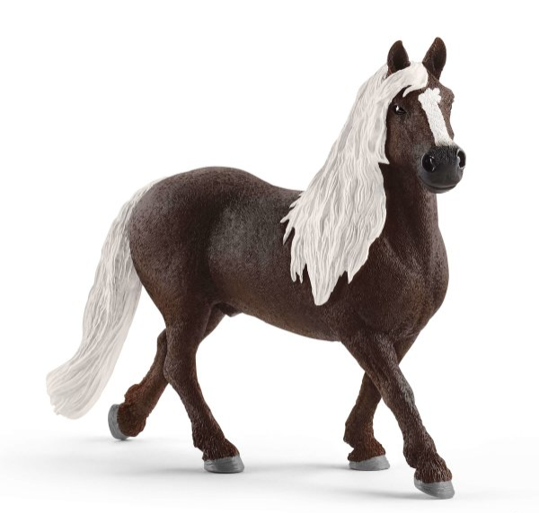 SCHLEICH - Stallone della Foresta Nera -  - SHL13897