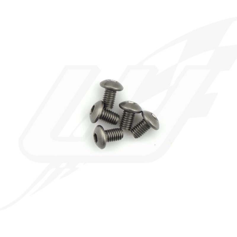 [IT] Arrowmax Titanium Screw Allen Round Head M3X5 (5) (Titanium) - AM15RH3005