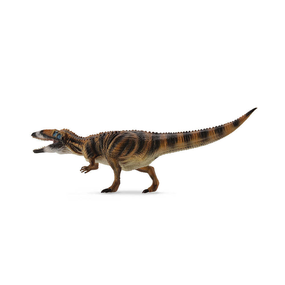 Figura da collezione CollectA Carcharodontosaurus Dinosaur Deluxe dai 3 anni in