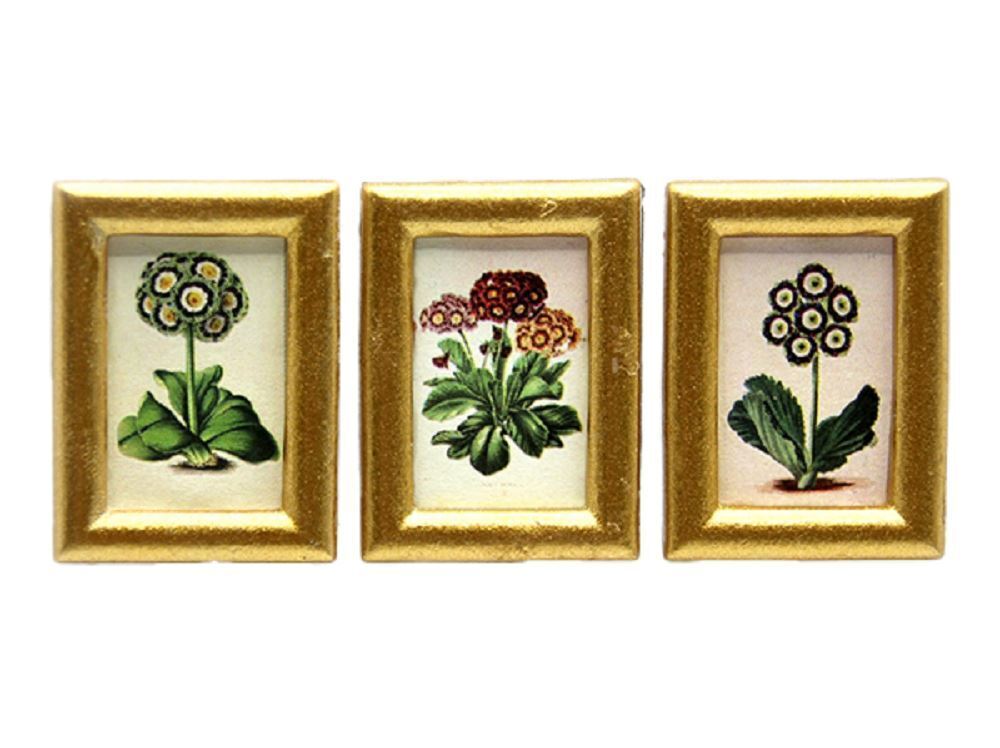 Bambole Casa 3 Auriculas Fiore Piccolo Immagine Dipinti Cornice Dorata 1:12