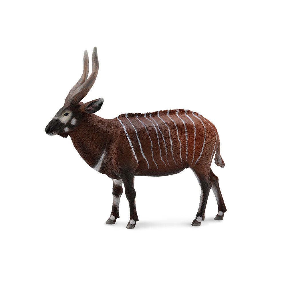 Figura da collezione CollectA Bongo Antelope extra large, dai 3 anni in su