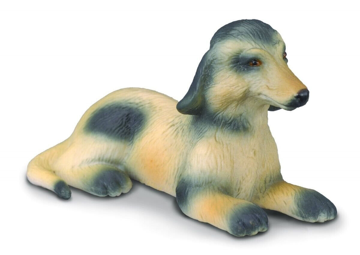 COLLECTA -  -  - COLL88174