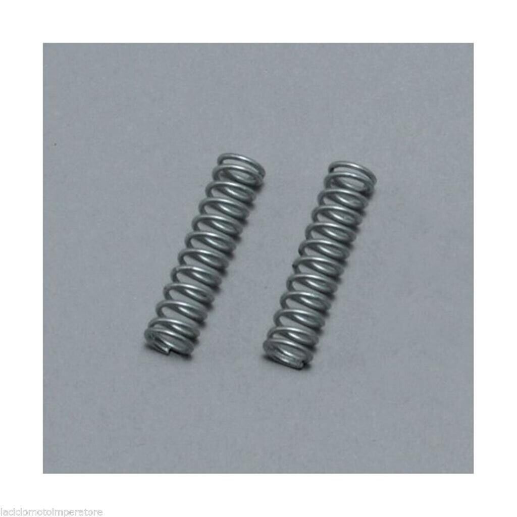 COPPIA MOLLE CATENACCIO LUNGA (CONFEZIONE DA 2 MOLLE) GIVI Z109