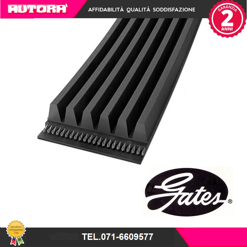 5PK1090 Cinghia Poly-V (MARCA-GATES)