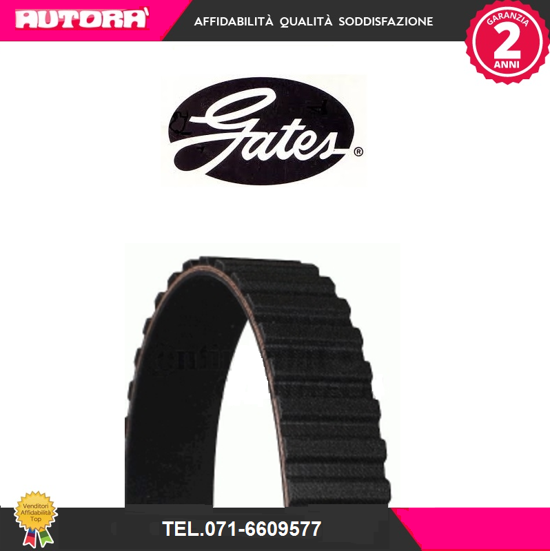 5034 Cinghia dentata (MARCA-GATES)