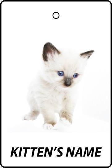 Deodorante Per Auto Personalizzato SNOWSHOE KITTEN