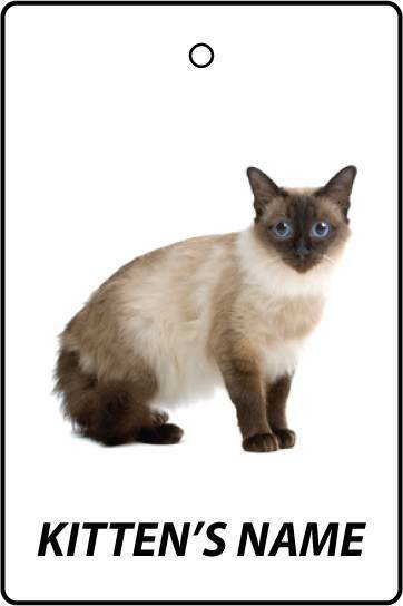 Deodorante Per Auto Personalizzato BALINESE KITTEN