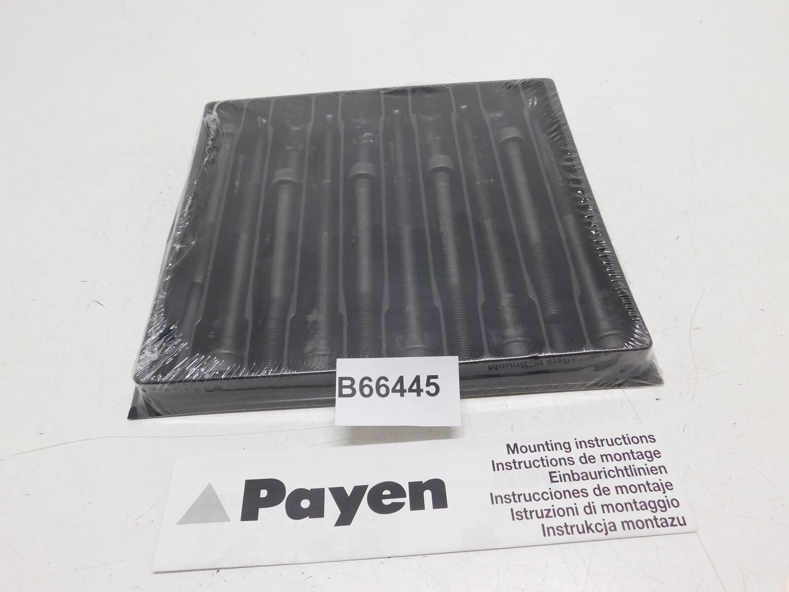 KIT BULLONI TESTATA CYLINDER HEAD BOLT SET PAYEN PER FIAT 500 DOBLO IDEA HBS353