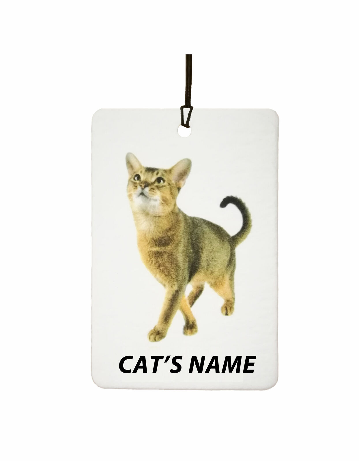 Deodorante Per Auto Personalizzato ABYSSINIAN KITTEN