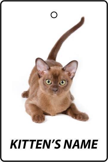 Deodorante Per Auto Personalizzato BURMESE KITTEN
