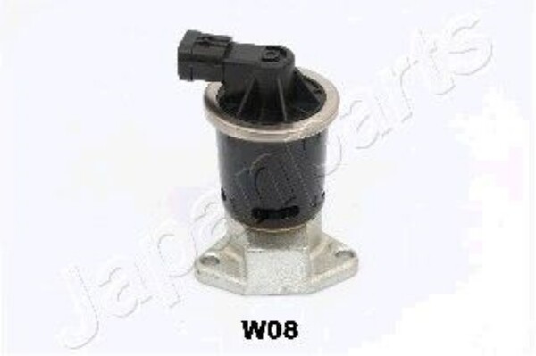 JAPANPARTS EGR-W08 Valvola ricircolo gas scarico-EGR 96253548