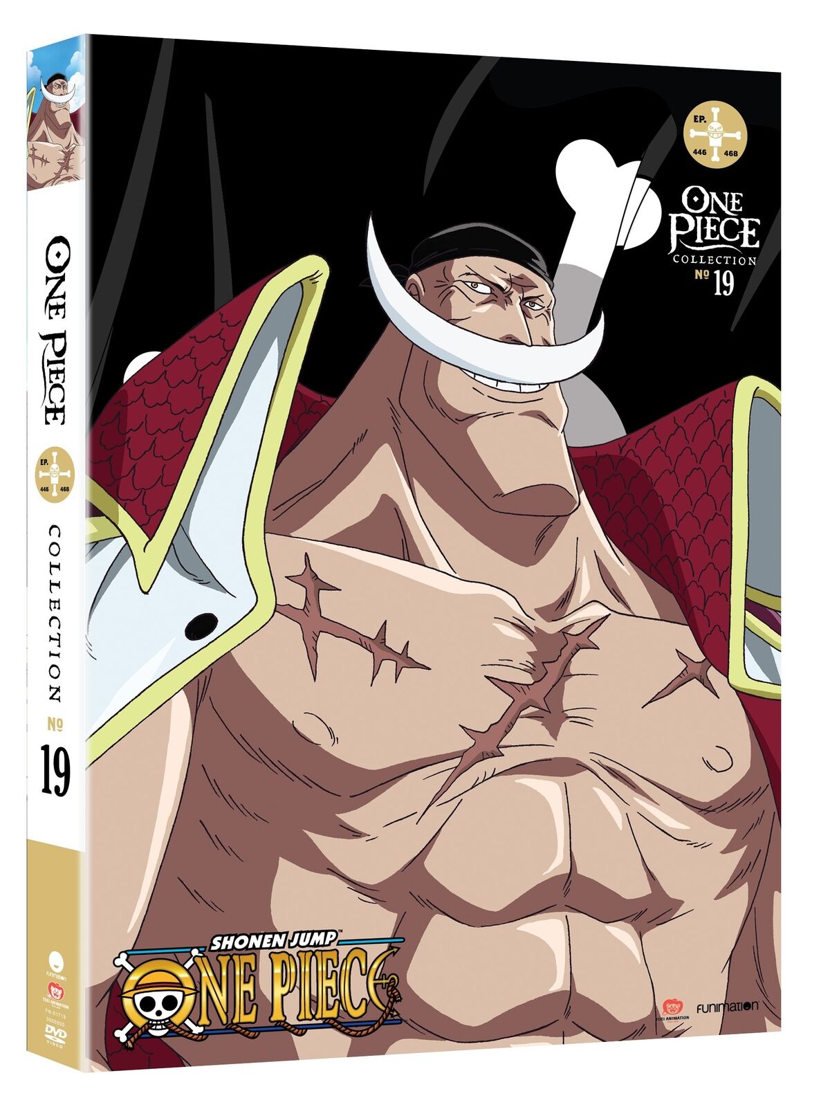 One Piece: Collection 19 (DVD) Colleen Clinkenbeard Luci Christian Eric Vale