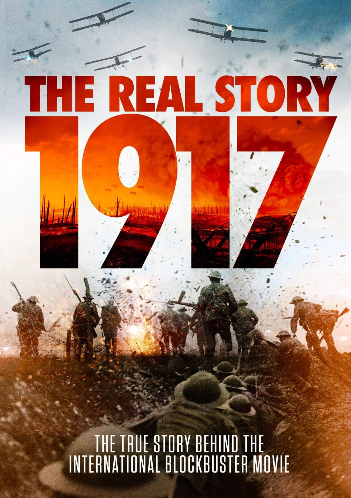 1917 - The Real Story (DVD)