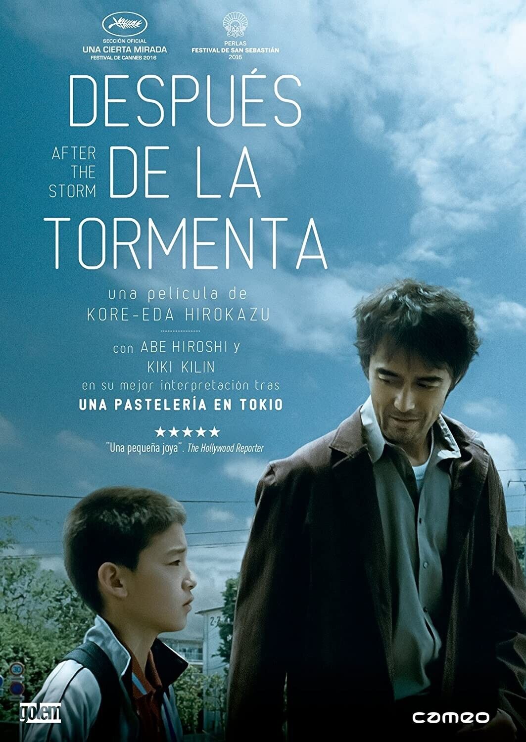 Después de la tormenta [DVD]