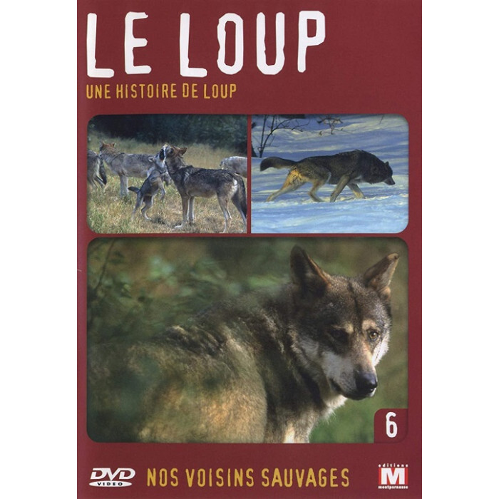 NOS Vicini di Casa Selvatici Volume 6 Storia Di Lupo DVD Nuova