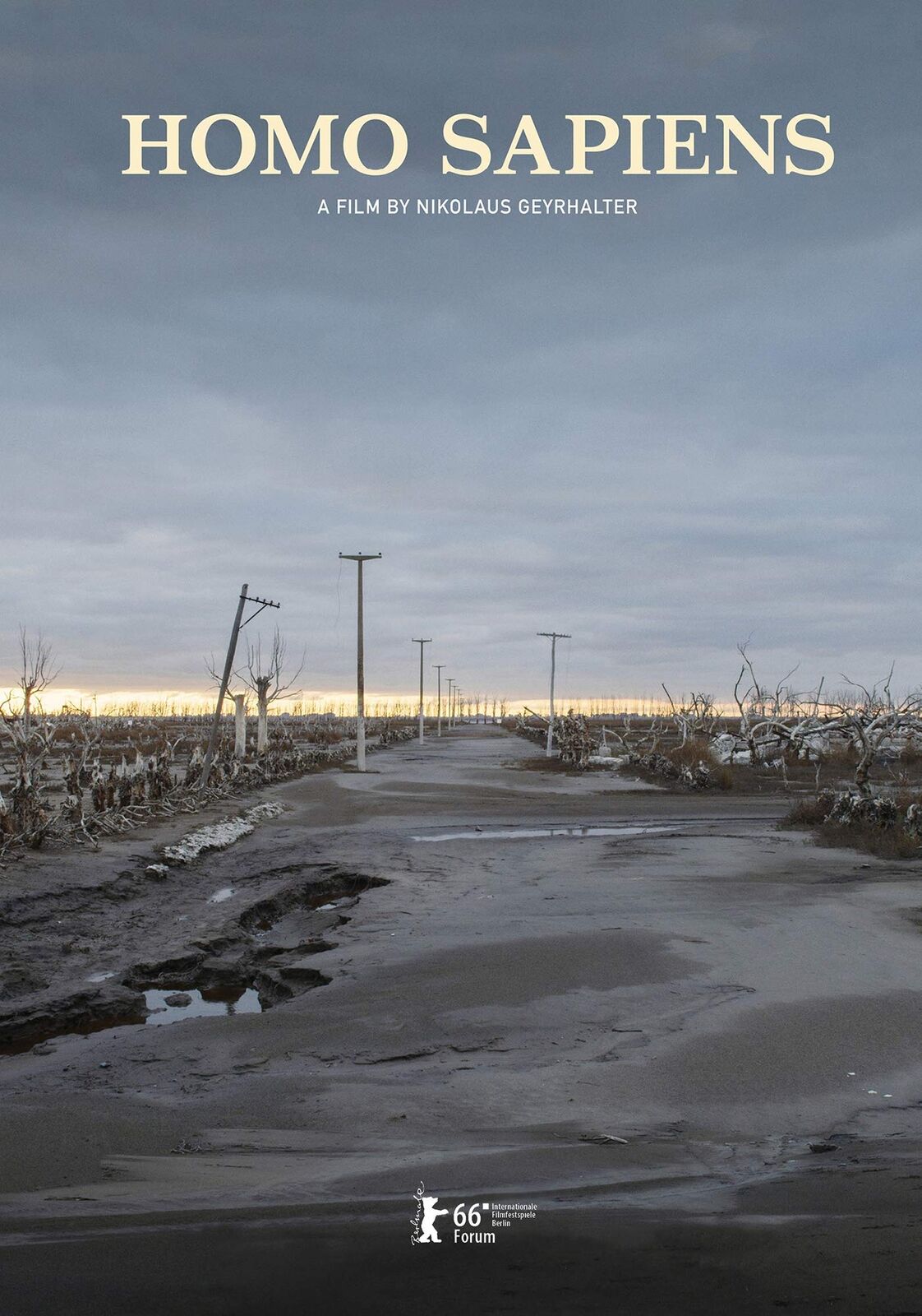 Homo Sapiens (DVD) Nikolaus Geyrhalter