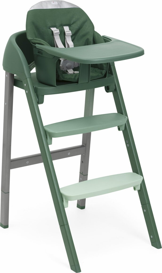 Crescendo UP Seggiolone Pappa bambini 6 mesi fino a 110Kg Evolutivo Verde CHICCO