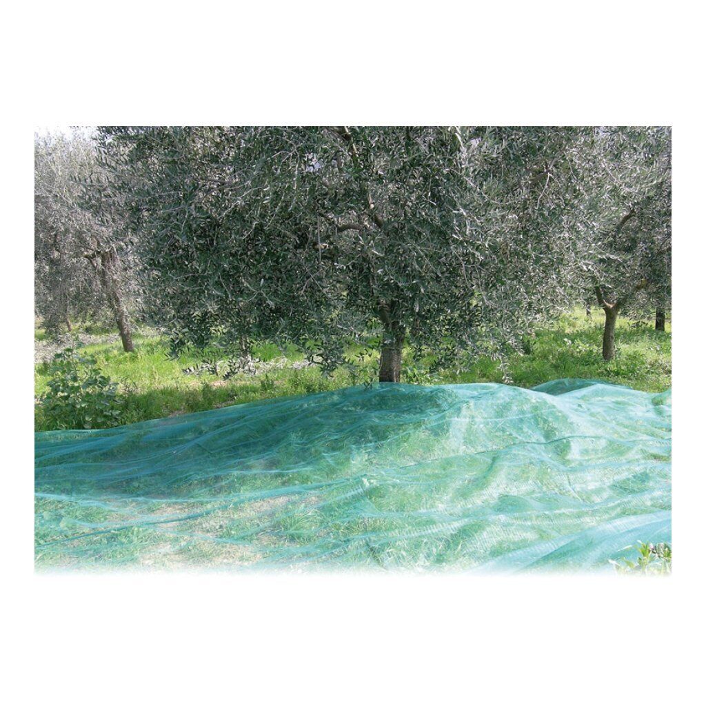 CONFINE - RETE PER OLIVE ANTISPINE  MT. 4X6