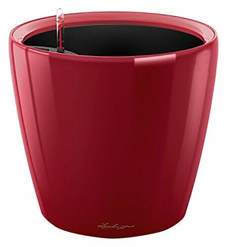 Lechuza Set completo Vaso Classico Premium 43, Colore rosso lucido (l7h)