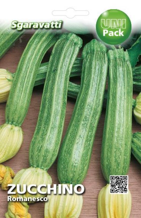 Zucchino Romanesco Uni Pack