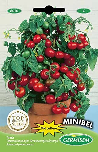 Germisem Minibel Semi di Pomodoro 0.5 g (p7I)