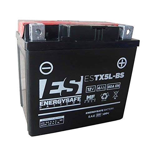 Energysafe 68049 Batteria, Universale