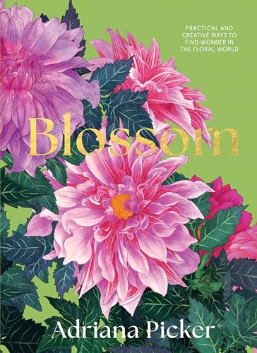 Blossom: Practical And Creative Ways To Find Wonder In The Floral World
