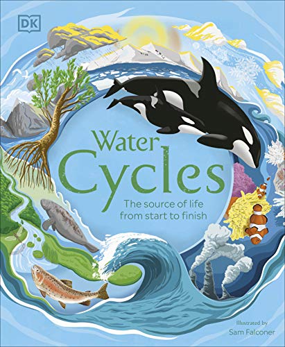 Water Cycles (Dk Life Cycles)