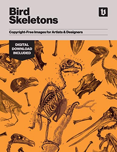 Bird Skeletons: Copyright-Free Images For Artists & Designers