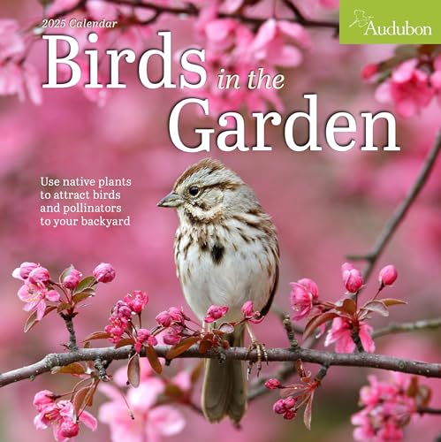 Audubon Birds In The Garden Wall Calendar 2025: Use Native Plants To Attract Birds And Pollinators To Your Backyard
