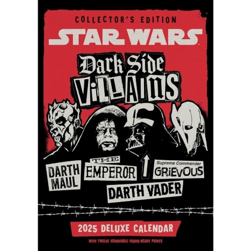 2025 Calendar Star Wars Classic Month To View A3 Deluxe Calendar Official Product: Original Danilo-Kalender [Mehrsprachig] [Kalender]