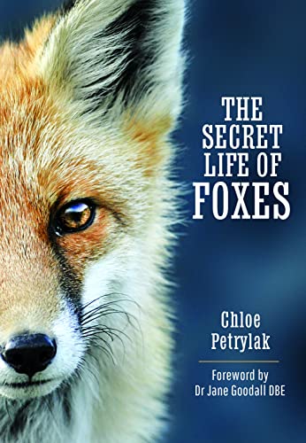 The Secret Life Of Foxes
