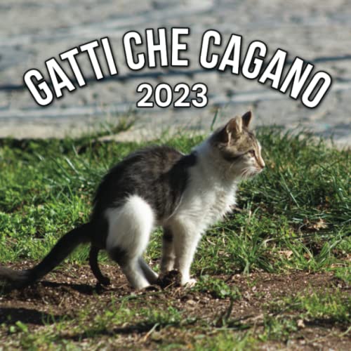 Gatti Che Cagano: Regalo Divertente Per Donna Uomo Amica Natale Compleanno & Altro Ancora (24 Immagini Divertenti Di Gatti Che Fanno La Cacca))