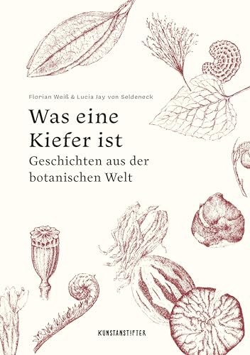 Was Eine Kiefer Ist: Geschichten Aus Der Botanischen Welt