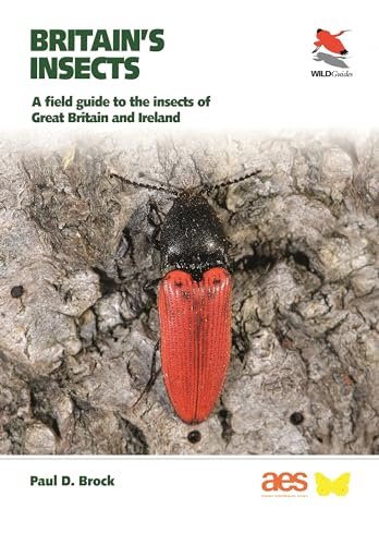 Britain'S Insects: A Field Guide To The Insects Of Great Britain And Ireland