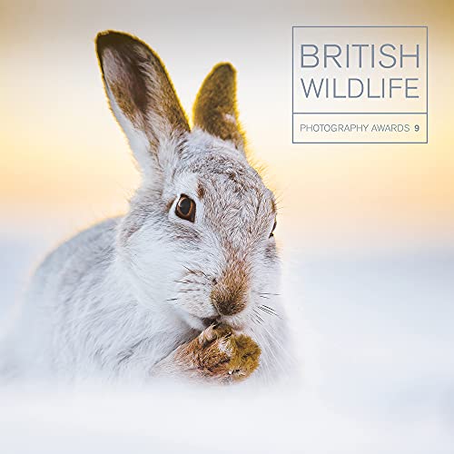 British Wildlife Photography Awards (9)