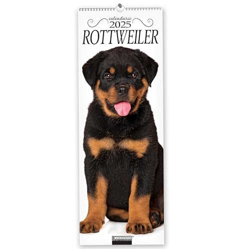 Rottweiler. Calendario 2025. Long