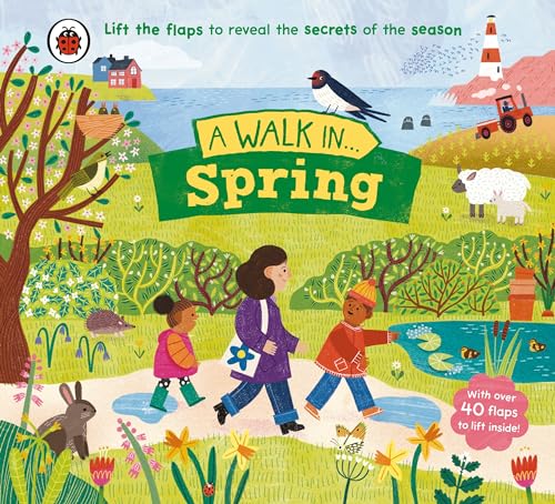 A Walk In Spring: Lift The Flaps To Reveal The Secrets Of The Season