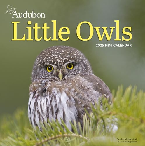 Audubon Little Owls Mini Wall Calendar 2025: A Year Of Fluffy And Round Owls