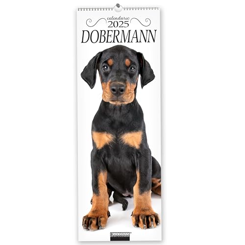 Dobermann. Calendario 2025. Long
