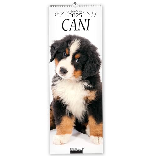 Cani. Calendario 2025. Long