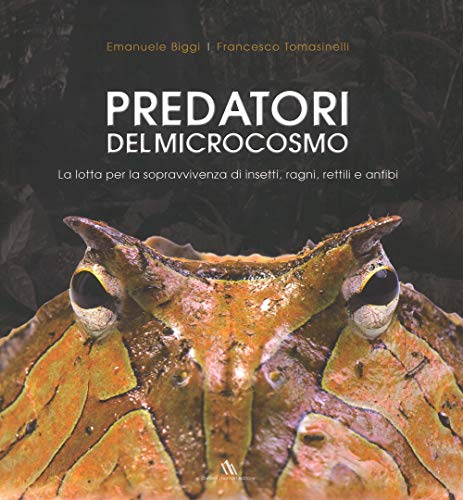 Predatori Del Microcosmo. La Lotta Per La Sopravvivenza Di Insetti, Ragni, Rettili E Anfibi. Ediz. Illustrata