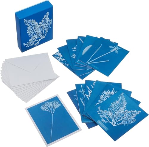 Sunprint Notecards: The Cyanotypes Of Anna Atkins